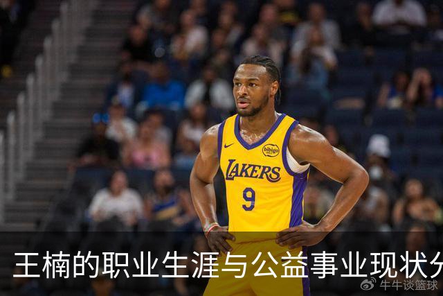 王楠的职业生涯与公益事业现状分析